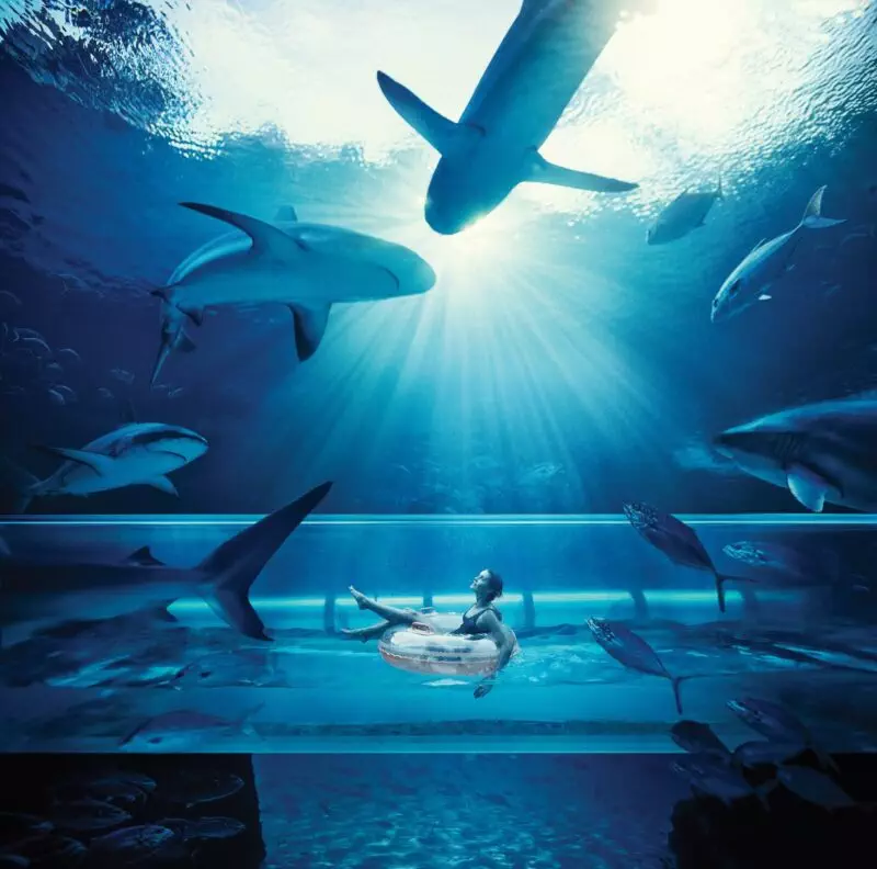 A person in a clear underwater room floats on an inflatable ring, surrounded by various sharks and fish, with sunlight streaming from above the water surface.