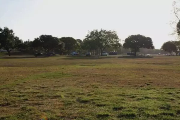 A grassy field in a park with the longest swing set nestled among scattered trees and parked cars along the distant edge.